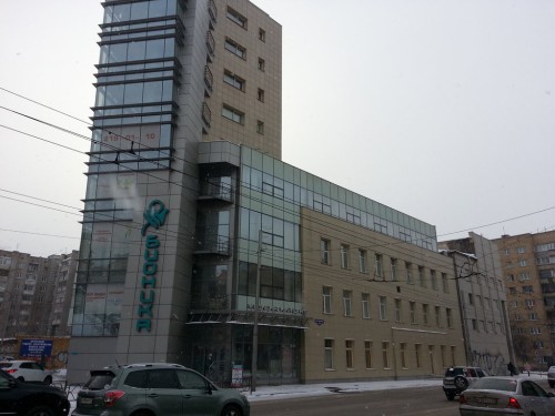 Бионика
